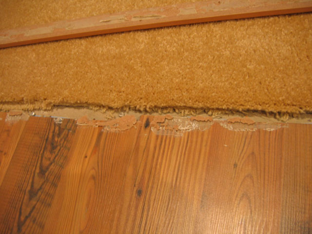 Wood Laminate Adhesive Types Of, Laminate Flooring Recall